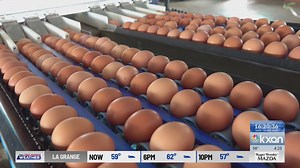 Cal-Maine Foods settles Texas lawsuit with 2M+ egg donation