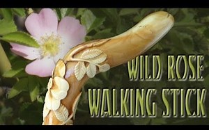 野蔷薇手杖制作Wild Rose Walking Cane