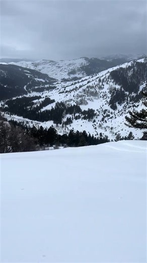 Alpine Wyoming 🌨️🤘🏼 #SnowmobileLife #SledHeads #exploremore #trending #sledtok #capCut #fyp #Snowmobiling #sled #snowmobile #snowspots #SledLife | Quantell Small