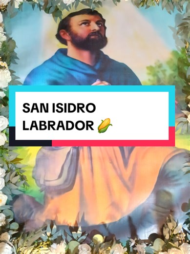 Altar a San Isidro Labrador #15deMayo