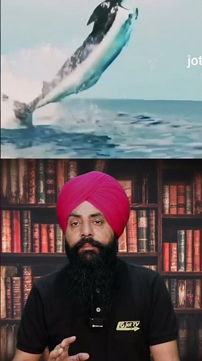 The Majestic Bluefin Tuna: A Dive into its World 🐟🌊#BluefinTuna #OceanConservation #MarineLife