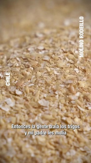 El molino de agua de Rodeillo, se ubica en la comuna de Pichilemu y aún está funcionando tras 70 años de su construcción. Vía 📽@siderakis | Pichilemu Al Día