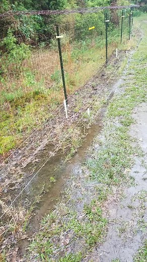 Fox Hunting Techniques of Dog Men Revealed