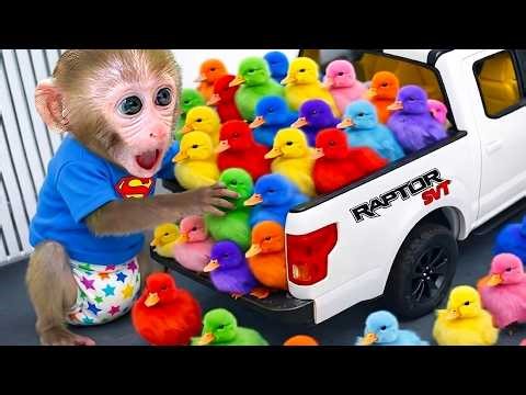 Aapje Bon Bon koopt regenboogsap en bakt een gigantische taart met het eendje