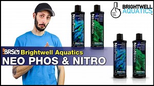 If you are having a difficult time keeping NO3 and PO4 above zero in your reef tank and your corals seem to be suffering because of it...don't run to the hardware store for DIY remedies. Brightwell Aquatics has done the leg work for you with quality sourced materials so you don't have to worry if your Nitrate and Phosphate additives are "reef safe". SHOP BRIGHTWELL NEO ➡ Brightwell NeoPhos : https://brs.li/BRS_Brightwell_NeoPhos ➡ Brightwell NeoNitro : https://brs.li/BRS_Brightwell_NeoNitro WATH