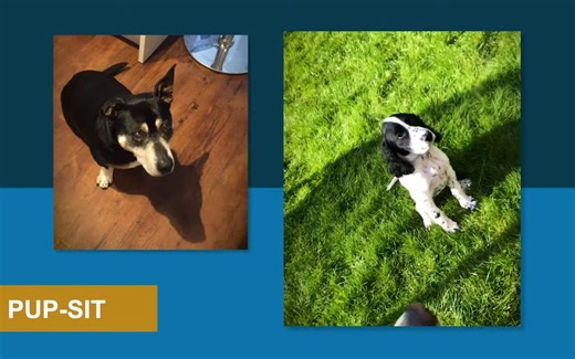 Pre-use Post-Sterilization Integrity Testing -PUPSIT- video series - Intro