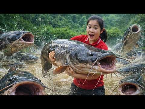 Catching Massive Catfish with Bare Hands | Giant River Monster Fight