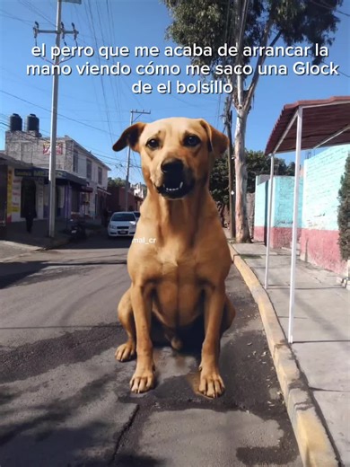 #fyp #parati #nose #video #humor