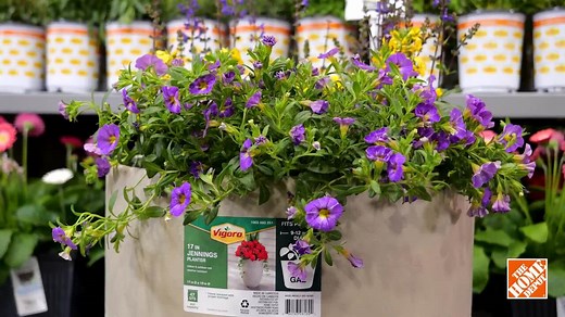 Vigoro 0.5 cu. ft. Bagged Pond Pebble Landscape Rock 54249V