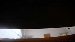 Mommys Little Toilet Bug 2 20 likes for the next clip.