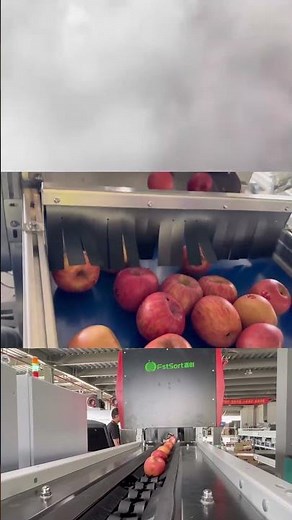 Apples optical sorting-grading-packaging lines,apple color grader machine,apple processing equipment