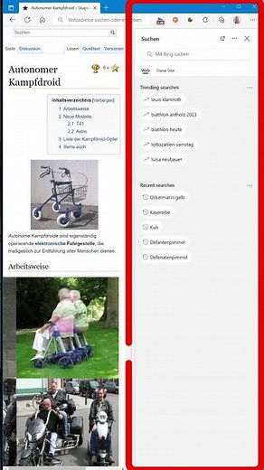 Mal eben nebenbei - Edge Sidebar Search