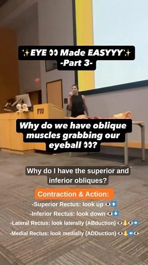 Eye 👁️ Part 3 - Extrinsic Eye Muscles!