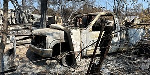 A trip to Chinese Camp Fire aftermath with forensic arborist, Robert Brame.