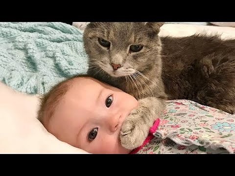 تجميعية مقاطع فيديو اطفال و قطط مضحكة جدا - 😂😼 ستموت من الضحك ( جديد 2019 )