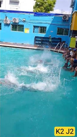 Swimming Pool Class Race 💪🤿🏊🏋️💪🏋️🤿🏊 Hukum - Thalaivar Alappara (From "Jailer") – Song by Anirudh ...