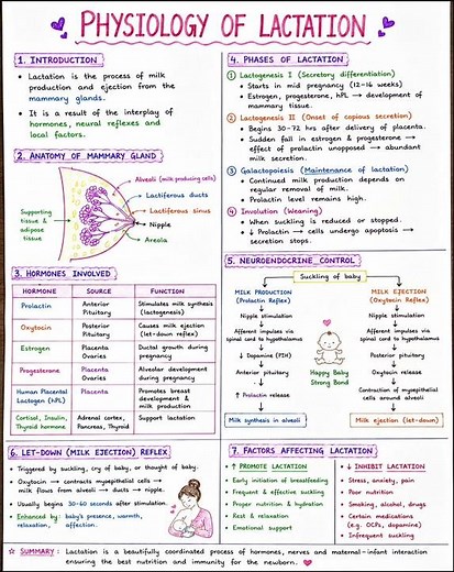 Physiology of Lactation Handwritten Notes 🩺✨ | MBBS Physiology Easy Revision