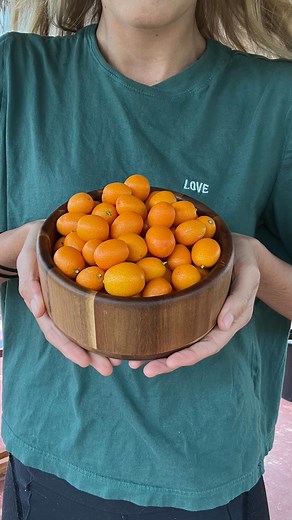 44K views · 398 reactions | How do you like to eat kumquats?  LAST DAY to get $23 off fresh and frozen fruit with code: EARTHDAY2023 + free shipping with code: FREE at the checkout!! ➡️ miamifruit.org  #kumquat #kumquats #citrus | MiamiFruit | Facebook