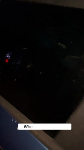 When You Get Pulled Over #fyp #funnyvideos #funnymemes #atlcomedy @tyroyals23