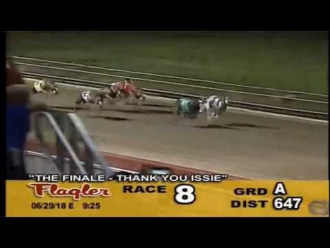 Last Ever race At Flagler Greyhound