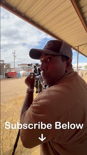 Hunting Eurasian Collared Doves in Arizona #shorts