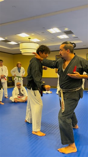 Sometimes you have to Attack the Attack — Atemi or striking is an essential element of Japan's fighting arts of jujutsu and karate. #jujutsu #karate #shuto #tegatana #crosschoke #jujitsu #jukidojujitsu #judo #budo #martialarts #selfdefense #kokondo #atemi | Jukido Academy • Jujitsu Self-Defense