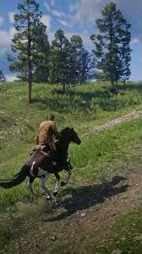 Red Dead Redemption 2 Gameplay RTX 5060Ti 16 GB | Epic Wild West Adventure | RDR2 4K Ultra Realistic