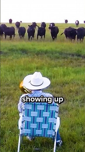 Why Music Attracts Cows