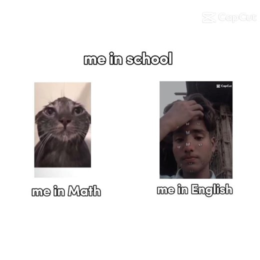 #viralshortvideo #trending #reels#me inmath and me in english book #viralmoment #newreel#viralvideos