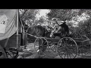 Time to whip out your cowboy hats 🤠because the short "Pals and Gals" was released #OnThisDay in 1954. #DidYouKnow the working title for the short was originally "Cuckoo Westerners?" . . . #themoreyouknow #TheThreeStooges #3Stooges #StoogeShort #StoogeShorts #hollywood #hollywoodhistory #moviehistory #watchtv #watchstooges #stooges #stoogetrivia #shemp #shemphoward #moe #moehoward #larryfine #larry #curly #curlyhoward | The Three Stooges