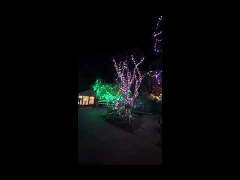 Patti’s 1880 Settlement.