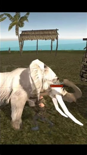 Ultimate Elephant Simulator | Animals Battle | Rkm Gaming |