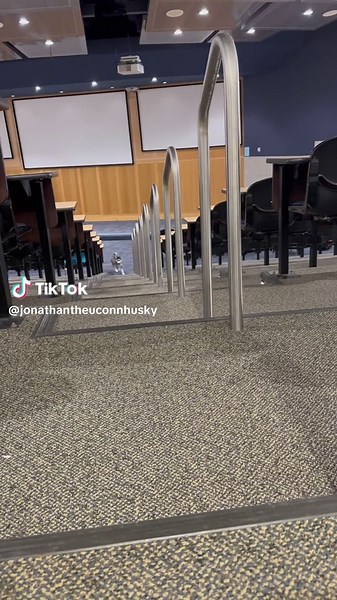 Have no fear, the Jonathans are here! #huskiesoftiktok #uconn #mascot