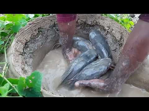 Amazing Fish Trap | Dig An Underground Hole Trap To Catch Fish