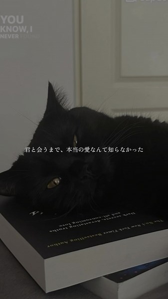 Mood Swings - Pop Smoke 和訳と歌詞動画