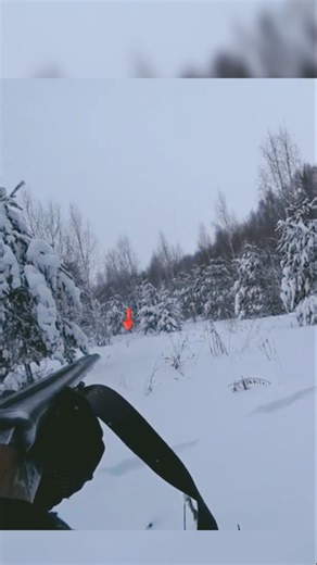 Double Shot Precision Dropped the Rabbit from Extreme Distance PerfectAim#Rabbit Down