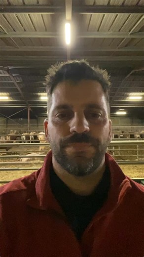 Entre #Trump et le #MERCOSUR, l’actualité économique a été lourde aujourd’hui. Alors je vous partage mon point de vue, simplement, de #Paysan. D’un côté, un protectionnisme brutal, parfois caricatural. De l’autre, une Europe qui parle de souveraineté mais continue de signer des accords qui mettent ses propres producteurs en concurrence avec des modèles qu’elle interdit chez elle. Le problème n’est pas seulement agricole. C’est une question de justice économique. On ne peut pas exiger toujours pl