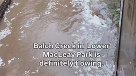 Water level rising at Lower MacLeay Park