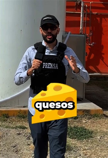 Los Quesos Ricos de Guanajuato: Tradición y Empatía