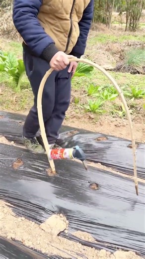 technique for making holes in plastic using fire #technique #holes #plastic #fire