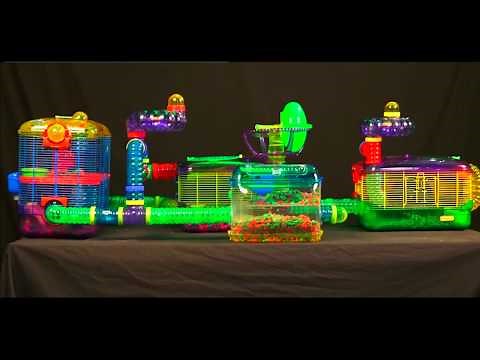 Hamster Tubes and Tunnels