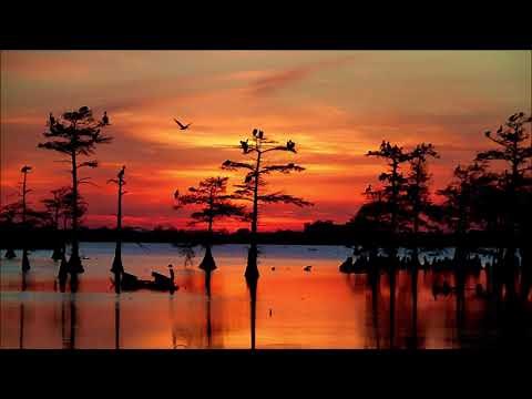 CCR - Born On The Bayou with lyrics - Creedence Clearwater Revival - John Fogerty ( Music & Lyrics )