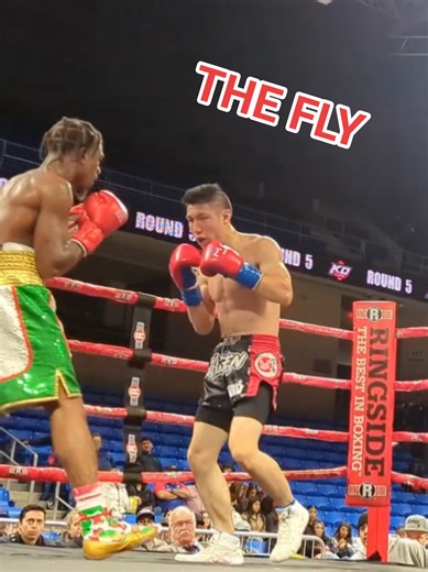 The Fly Takes Texas: Betting on Yourself