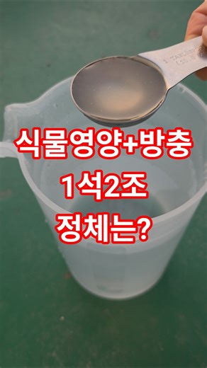 벌레 쫓고 영양 채우고! 1석 2조 '식초 난각칼슘' 주는법 계란껍질의 변신"#난각칼슘