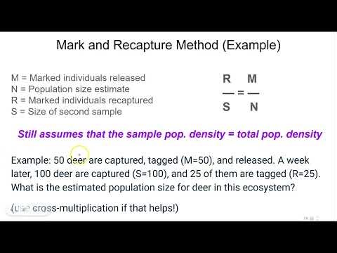 2.1b Mark and Recapture