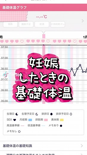 妊娠したときの基礎体温と妊娠検査薬