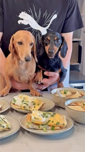 Make Tianjin Tofu Pudding and Jianbing at Home 在家制作煎饼果子豆腐脑 #chinesefood #foodshorts #美食#dachshund