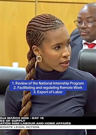 PARLIAMENT INTERVENTION ON STRENGTHENING PATHWAYS FOR SUSTAINABLE YOUTH EMPLOYMENT: INTERNSHIPS, REMOTE WORK & CROSS-BORDER OPPORTUNITIES I was pleased to engage in Hon. Maj. Gen. Mokgware’s Committee of Supply, highlighting the need for the Ministry of Labour and Home Affairs to strengthen youth employment pipelines, particularly in the following areas, which fall within their portfolio responsibility: • Strengthening the internship programme as a structured bridge from training to sustainable 