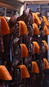 Saddles made for champions 🏆 Click to shop! #2m | South Texas Tack