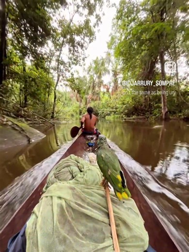 15K views · 122 reactions | Today we’re celebrating the Amazon...